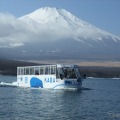 水陸両用バス「山中湖のカバ」