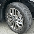 BYD ラッコ