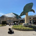 免許不要の近距離モビリティ「WHILL」を沖縄美ら海水族館に導入