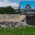 観光復興へ「九州応援割」を実施，熊本地震でキャンセル相次ぐ旅館など支援［新聞ウォッチ］ 画像