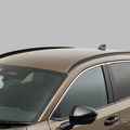 日産『キックス』新型の「ROCK CREEK」