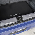 スズキ e SKY（eスカイ）のオプション装着車