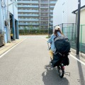 生活道路で経験したヒヤリハット（イメージ）