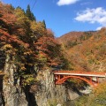 移住と観光バス運転手の仕事を体験…長野・森宮交通が無料ツアー　11月3日 画像