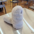 ルーデンスAIのペットロボット、INU