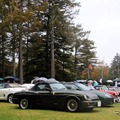 MG RV8やFも参加