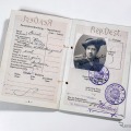 メルセデス・イェリネックのパスポート