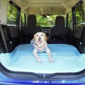 夏の愛犬とのドライブ旅行で気になる害虫対策