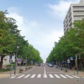 運行コースの日本大通り。写真右手の茶色の建物が発着停留所のTHE BAYS