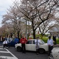 桜吹雪と名車の饗宴…オールドカーミーティングin清久さくらまつり