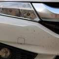 11月28日は“イイツヤ”洗車の日…進化するウインドウォッシャーとクルマの蟻酸対策