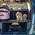 愛犬家に根強い人気のフリードには、リヤに「エアバギー」の大型ペットカートがピッタリ収まる。