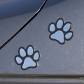 ステップワゴン × Honda Dog“わんことドライブバージョン”