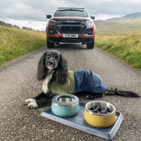 いすゞ『D-Max』で愛犬とアウトドアを楽しむ、公式アクセサリー英国発表…「Ruffwear」とコラボ 画像