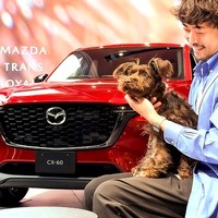 「MAZDA TRANS AOYAMA」、週末限定ドッグカフェ開催へ…11月16日から 画像