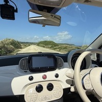 無臭で快適！ ペットや子供がいても使いやすい車内消臭術 画像