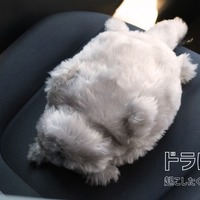 トヨタとquantumの猫型ロボット「ドラにゃむ」、運転リスク感知で鳴き声…安全運転促す 画像