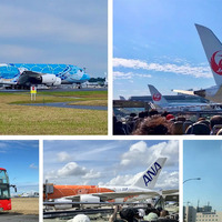 成田空港の非公開エリアをオープントップバスで巡る、特別ツアーを3月14日から開催 画像