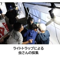 高松道の高瀬PAでライトトラップ虫採集、7月24日開催へ…応募締め切りは7月12日 画像