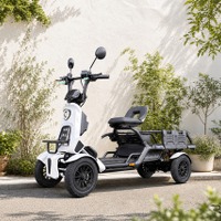 16歳以上で運転免許不要OKのブレイズ・四輪特定小型原動機付自転車「e-CARGO」増産へ…受注好調 画像