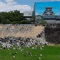 観光復興へ「九州応援割」を実施，熊本地震でキャンセル相次ぐ旅館など支援［新聞ウォッチ］ 画像
