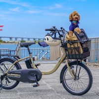 浜名湖で「わんこと乗れるレンタサイクル」10月から開始…ヤマハ、JR東海ら4者が実証実験 画像