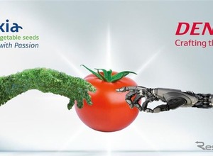 デンソーが「高品質トマト」を開発!?  種苗メーカー買収で食農分野を加速 画像