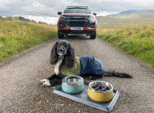 いすゞ『D-Max』で愛犬とアウトドアを楽しむ、公式アクセサリー英国発表…「Ruffwear」とコラボ 画像
