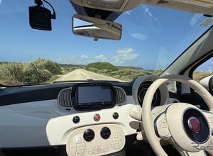 無臭で快適！ ペットや子供がいても使いやすい車内消臭術 画像