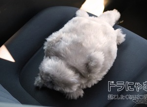 トヨタとquantumの猫型ロボット「ドラにゃむ」、運転リスク感知で鳴き声…安全運転促す 画像