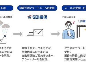 SBI損保、ダイレクト型損保初の雹災害予測モデルを独自開発…自動車保険契約者に降雹アラートメール配信開始 画像