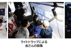 高松道の高瀬PAでライトトラップ虫採集、7月24日開催へ…応募締め切りは7月12日 画像
