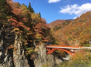 移住と観光バス運転手の仕事を体験…長野・森宮交通が無料ツアー　11月3日 画像