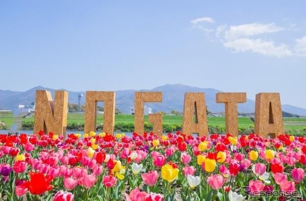 「のおがたチューリップフェア」