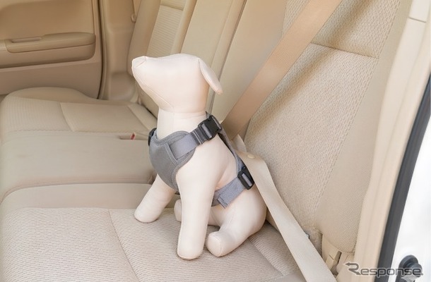 コンビのペットブランド「コムペット」のシートベルトを通すだけの「カーリンク ハーネス」