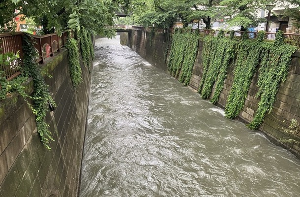 目黒川（6月3日、東京都目黒区）