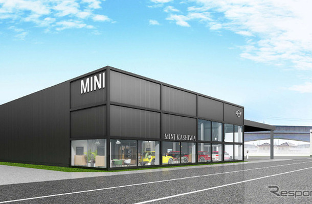 MINI柏