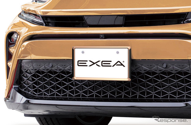 EXEA・アクセントフレームセット CP（カッパー色）（EX-221）