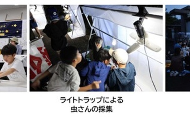 高松自動車道・高瀬パーキングエリア（PA）（下り線）において、ライトトラップで虫を採集する親子向けイベントを開催