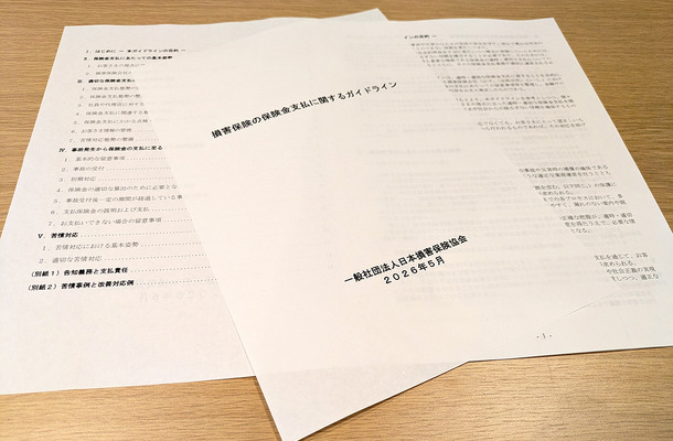 損保協会「保険金支払ガイドライン」改定の深層…各社任せの運用基準とユーザーに求められる選択眼