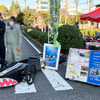 タスカン、ロータス・エスプリ、まさかのフォードGT40まで！ クルマ好きが所有する名車たち80台…飯田丘フェス・南信州名車倶楽部