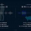 日産テクニカルセンターでの高周波音特性の分析、奄美現地での設置型実験を行った