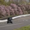 OPEN COUNTRY H/TII