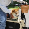 愛犬とお出かけ
