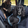 「いすゞD-Max×Ruffwearコレクション」