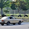 埼玉自動車大学校クラシックカークラブ