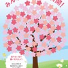 桜メッセージボード