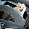 純正愛犬用アクセサリー「Honda Dog」シリーズペットシートプラスわん2