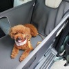 純正愛犬用アクセサリー「Honda Dog」シリーズペットシートサークル