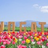 「のおがたチューリップフェア」